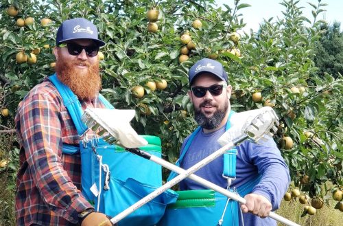 Picking at Maple Valley (2)